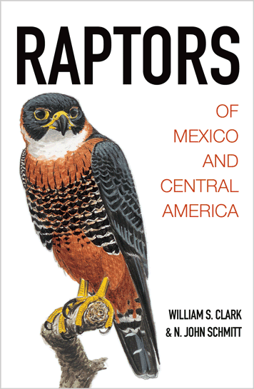 Raptors of Mexico and Central America, by ​Wiliam S. Clark & N. John Smith