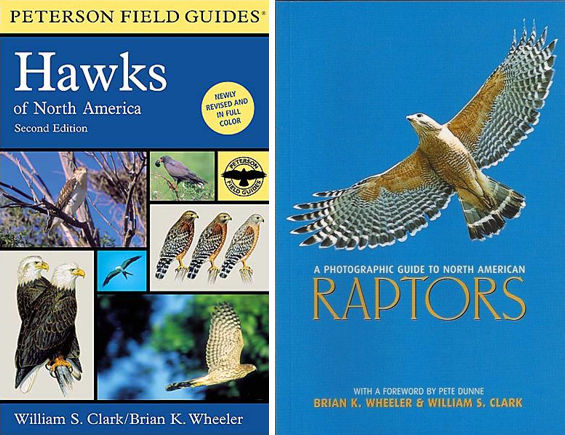 A Photographic Guide to North American Raptors, by Bill Clark